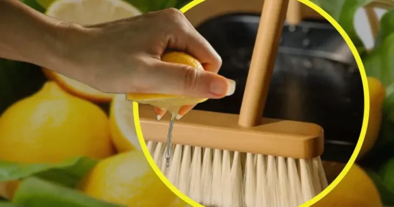 Lemon, squeeze it over the bristles of the broom: you can’t imagine the results | Maybe I had thought about it first