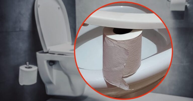 Toilet paper in the bathroom, always leave it like this: the reason is absurd but it saves your life