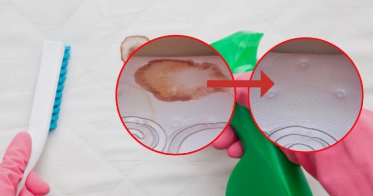 Blood stains on the mattress, the natural remedy to eliminate them instantly