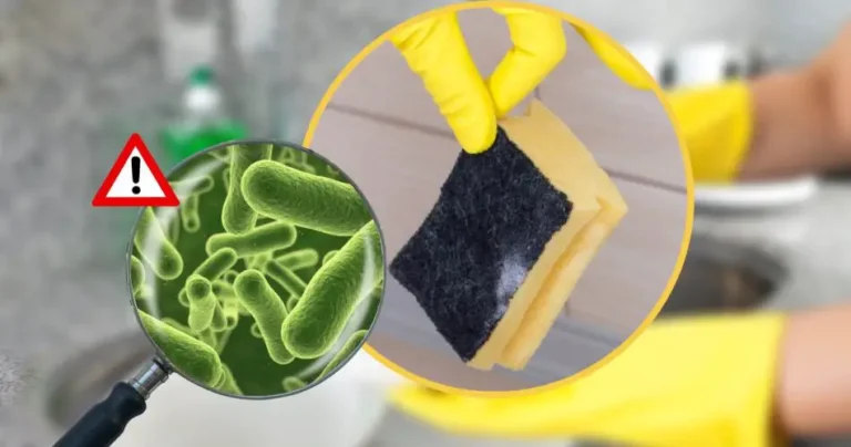 Dish sponge full of bacteria, dirtier than the toilet: only then will you get rid of them forever