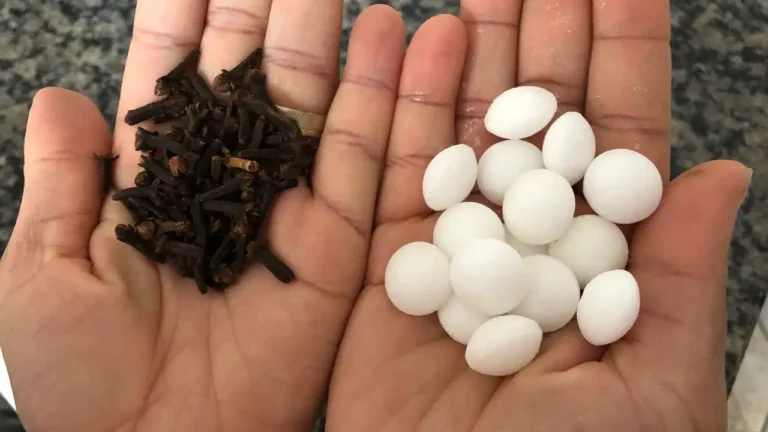 8 Tricks to eliminate bad odors from the bathroom and leave a pleasant aroma