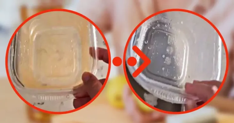 Yellowed plastic trays, the infallible method to degrease them in just a few seconds