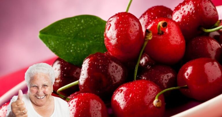 Cherries, throw them away after 3 days: find out how to store them for 12 months