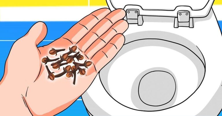 How to eliminate bad odors from toilets with cloves?