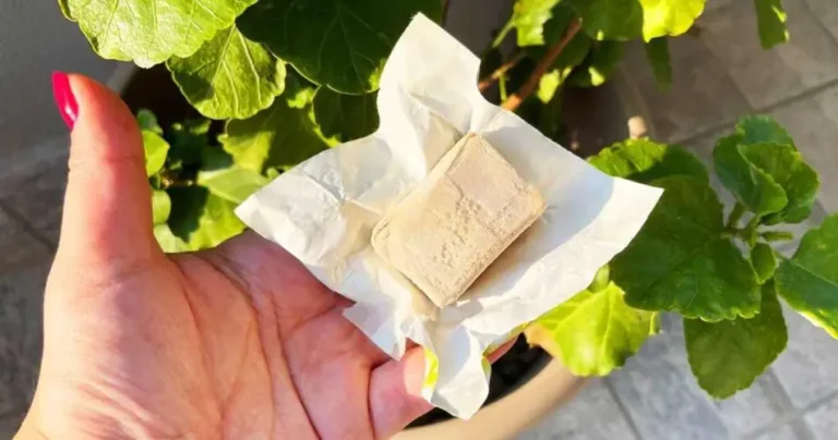 Can expired yeast be used? Yes, make a fertilizer!