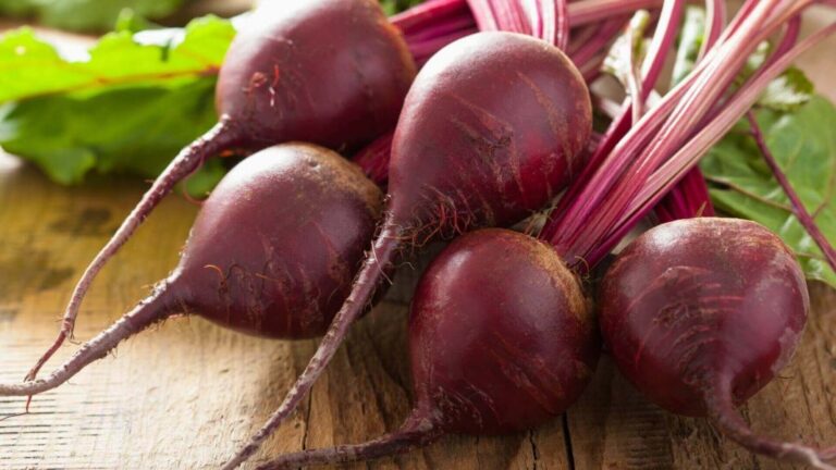 The Complete Guide to Growing and Caring for Beetroot at Home