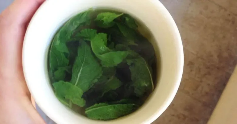 How to refresh the air at home with 1 euro: don’t waste money on air conditioning