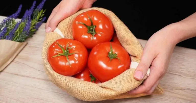 Snow white and soft skin like never before: the Asian method