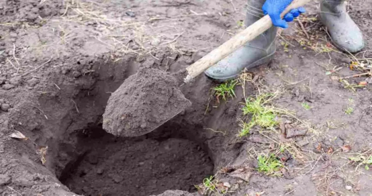 Dig until a treasure comes out: unexpected what you find