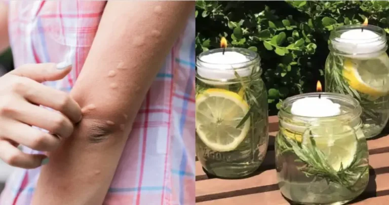 Citrus-scented candles: DIY ideas to decorate your home