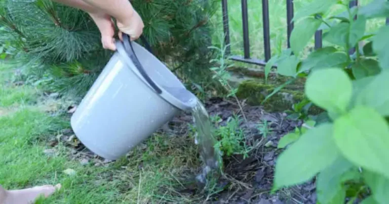 What happens if you spill water in your neighbor’s yard? Be attentive to the legislation