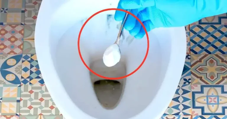 Clogged toilet, don’t call the plumber: a handful is enough | Solve the problem