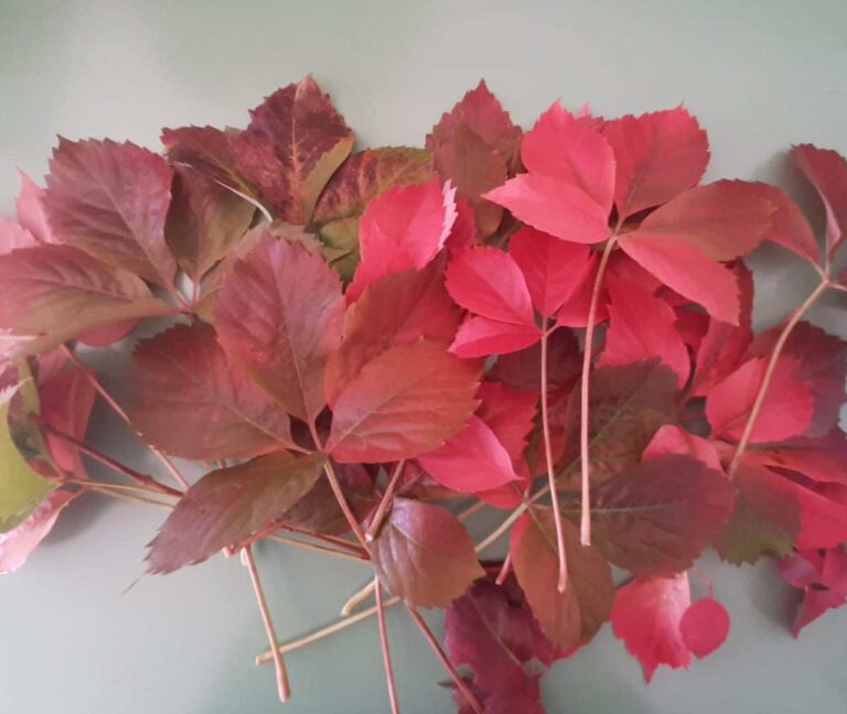 If you no longer want curtains at home, here is the alternative for you