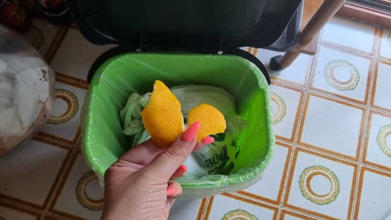 Smelly dustbin, here’s how to solve the problem with a simple move