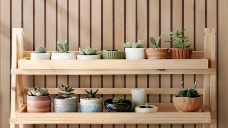 Vertical garden with pallets: how to create it