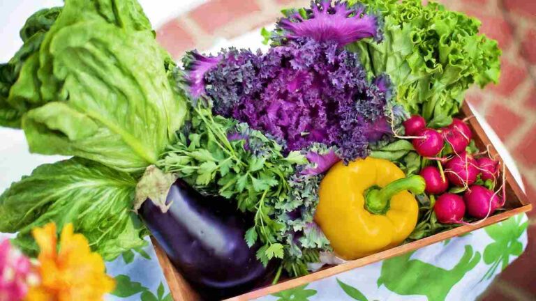 Sow at the end of September, here’s everything you should plant in your vegetable garden