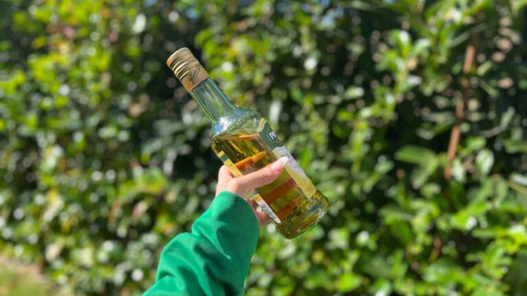 Wine vinegar, in the garden it is worth gold but few know all its secret uses