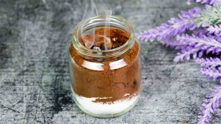 The powerful natural method to keep flies, mosquitoes and other insects away from your home