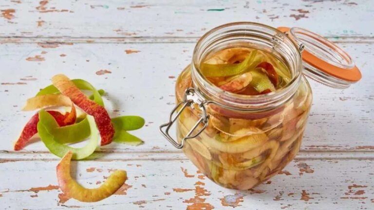 Apple peels, immerse them in a jar full of water: unexpected what happens
