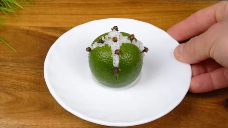 Flies, mosquitoes and cockroaches will disappear from your sight with this natural method