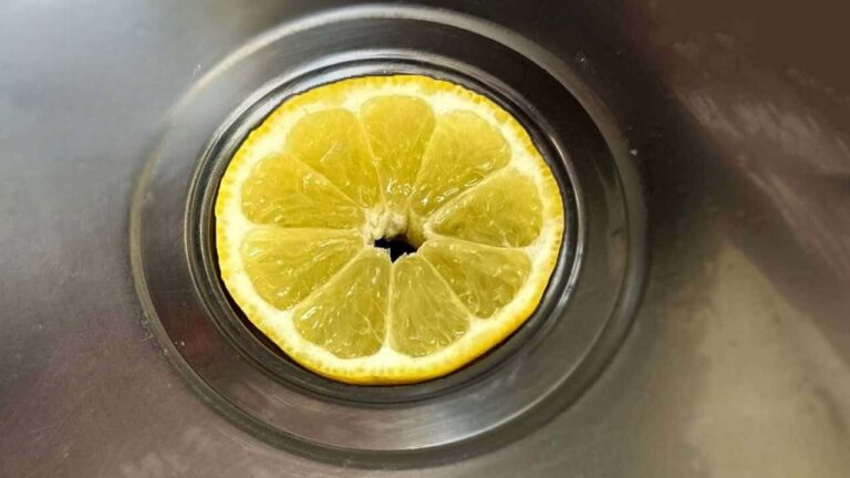 Put 1 slice of lemon in the drain, you can say goodbye to this widespread problem