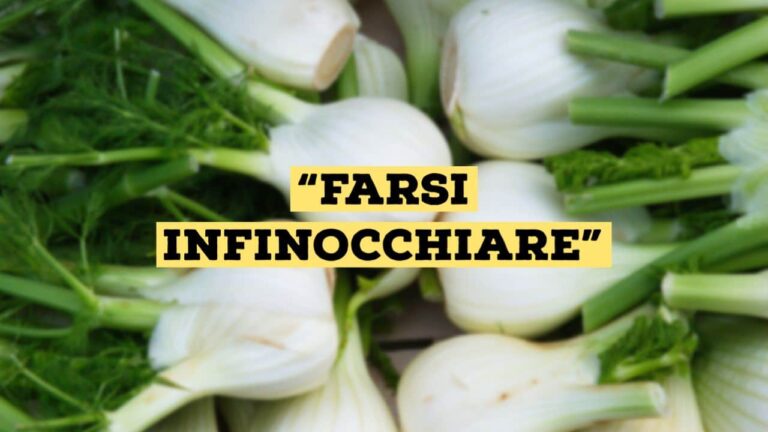 Why do we say when we risk being cheated that we get fooled? Here’s why