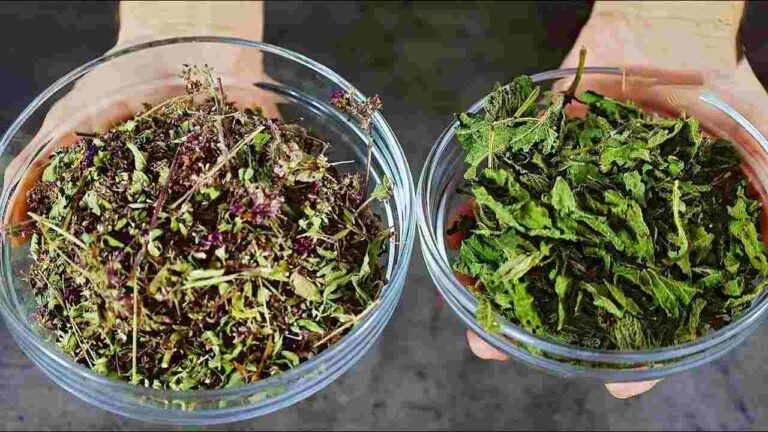 Stronger than garlic and lemon, these 2 ingredients eliminate all fungi and bacteria