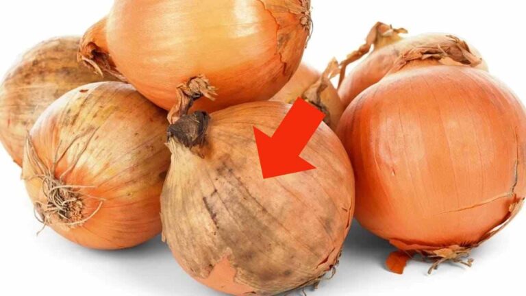When you buy onions, check that they do not have these stains: what are they?