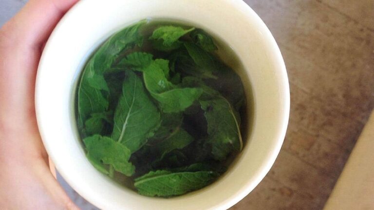 How to cool your home with 1 euro: don’t waste money on air conditioning