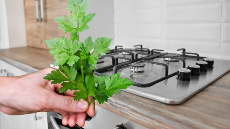 Parsley, with the sprig method you will have an infinite supply: it lasts for years