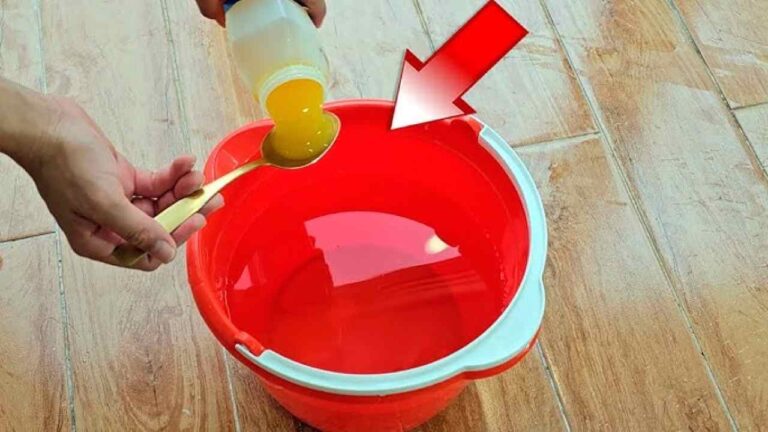 Your floors, windows and mirrors will shine like never before if you do this.