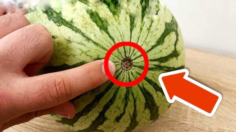 If you notice this detail in your watermelon, don’t buy it: everyone keeps falling for it.