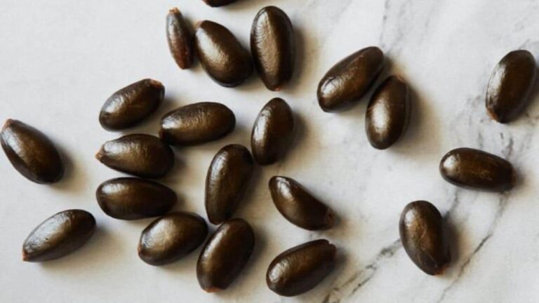 Never eat the seeds of this fruit, they are poisonous but almost nobody knows it