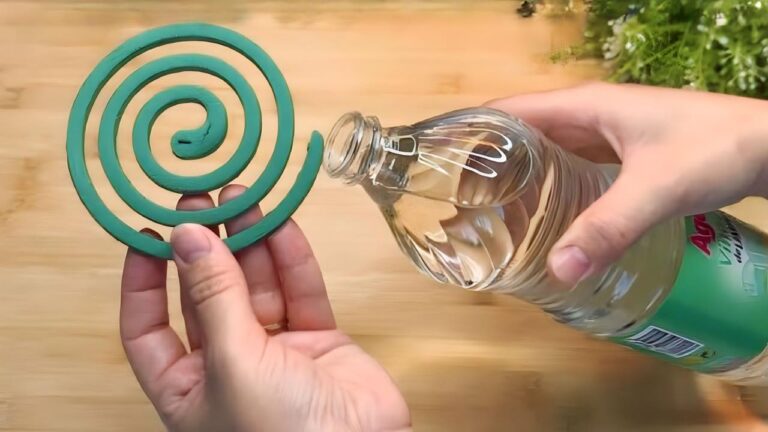 Mosquito Repellent Spiral, Dip It In Vinegar: What Happens Next Might Shock You