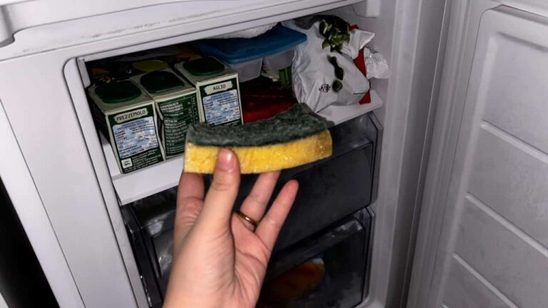 Leave a Dish Sponge in Your Freezer, What Happens is Unexpected