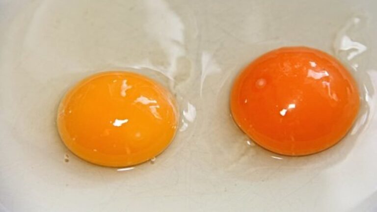 Only one of the two is the fresh egg, did you figure out which one? How to figure it out at first glance
