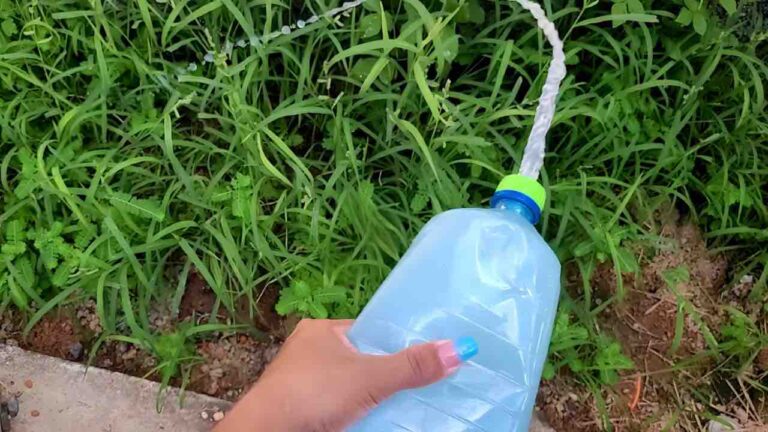 With 50 cents you can eliminate all the weeds from your vegetable garden and garden: you get rid of them like this