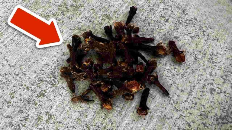 Put a handful of these behind your front door: you’ll get rid of this widespread problem.