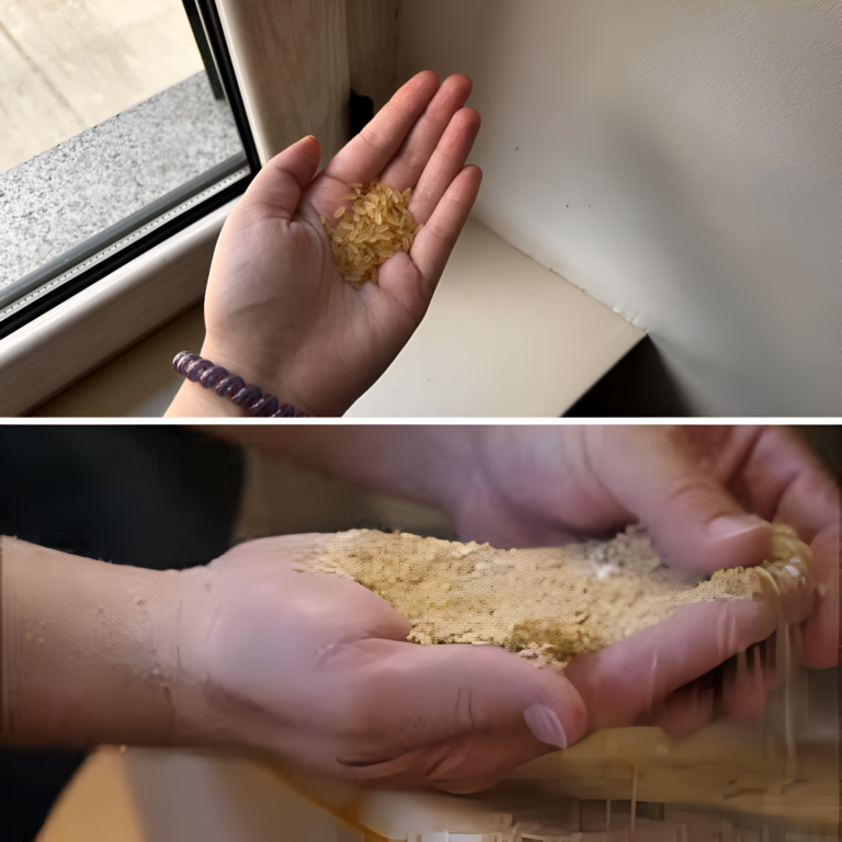 The foolproof rice trick to keep ants away from your home in just a few minutes
