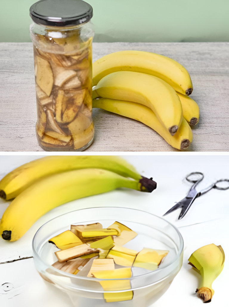 With this natural remedy insects no longer enter your home: how to keep them away