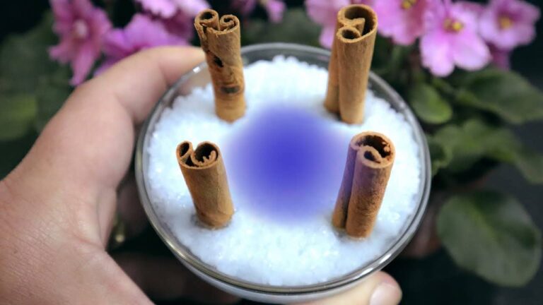 Put 4 cinnamon sticks in salt and watch what happens in 10 minutes